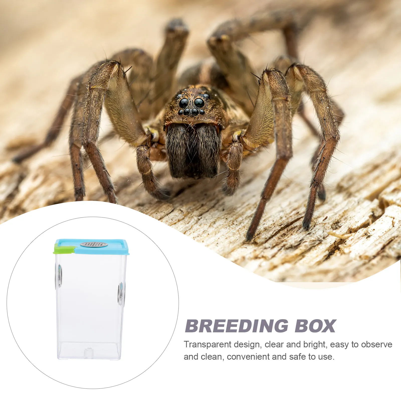 

Lightweight Transparent Reptile Breeding Box Durable Feeding Container For Spiders Lizards Turtles Frogs Corn Snakes With