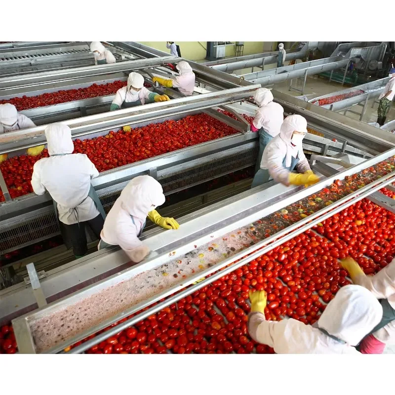 Factory price ketchup processing factory Small ketchup production line