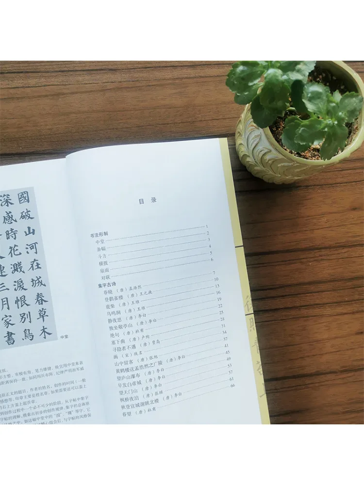 Book-Winshare Collection Of Ancient Poetry Calligraphy By Yan Zhenqing The Pagoda Of Many Treasures
