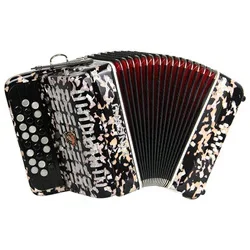 

25 Keys 12 Bass Diatonic Button Accordion Piano Musical Instrument for Beginner