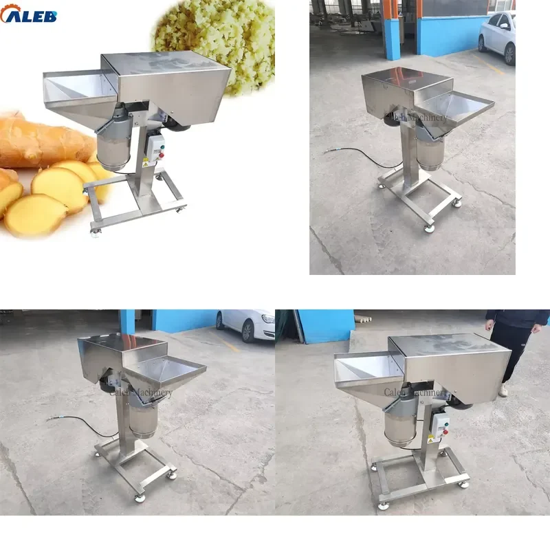 

SFW Certificate Stainless Steel Ginger Paste Machine, Easy Clean & Low Noise Onion Cutter Food Processing Equipment