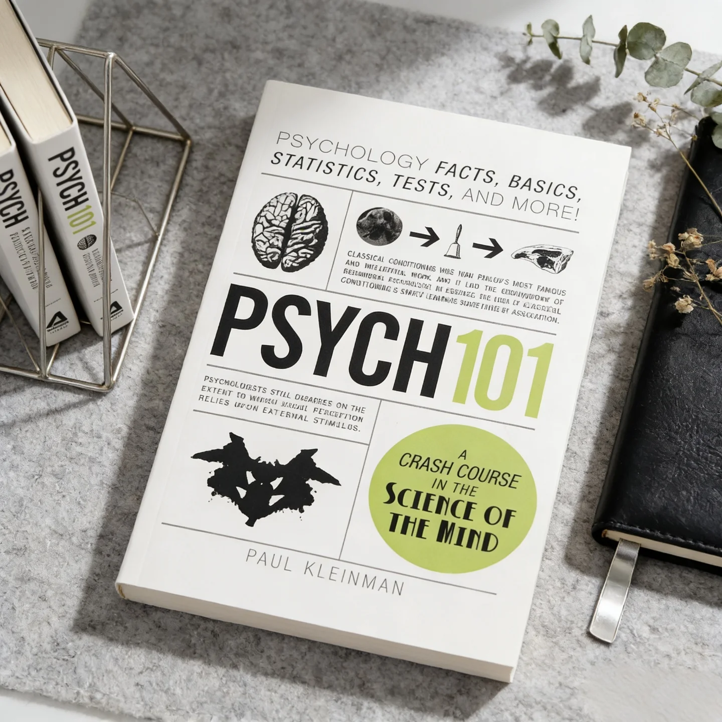 

Psych 101 by Paul Kleinman: Everything You Need to Know About Psychology From Dreams to Personality