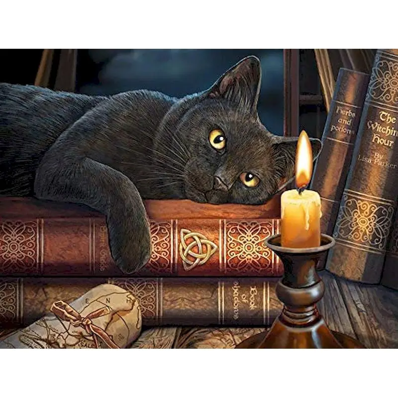 

GATYZTORY 40x60cm DIY Painting By Numbers Cat Animals Handpainted Oil Painting Canvas Colouring Home Wall Decor