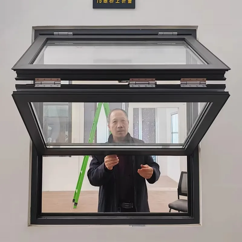 

Black hurricane-proof aluminum double-glazed vertical folding window