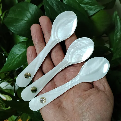 3 st kaviarskedar med skal och pärlemor, runt handtag för kaviar, ägg, glass, kaffe, restaurangservering 10 best sales skalsked - №7