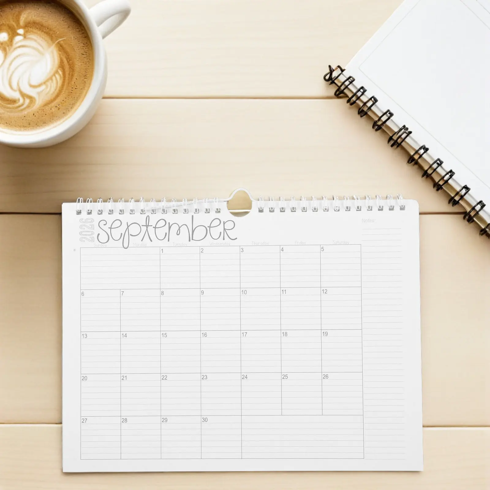 

2026 Daily Wall Calendar Coil Bound Full Year Hanging Planner Spacious Writing Area Modern Minimalist Decorative Wall Mounted
