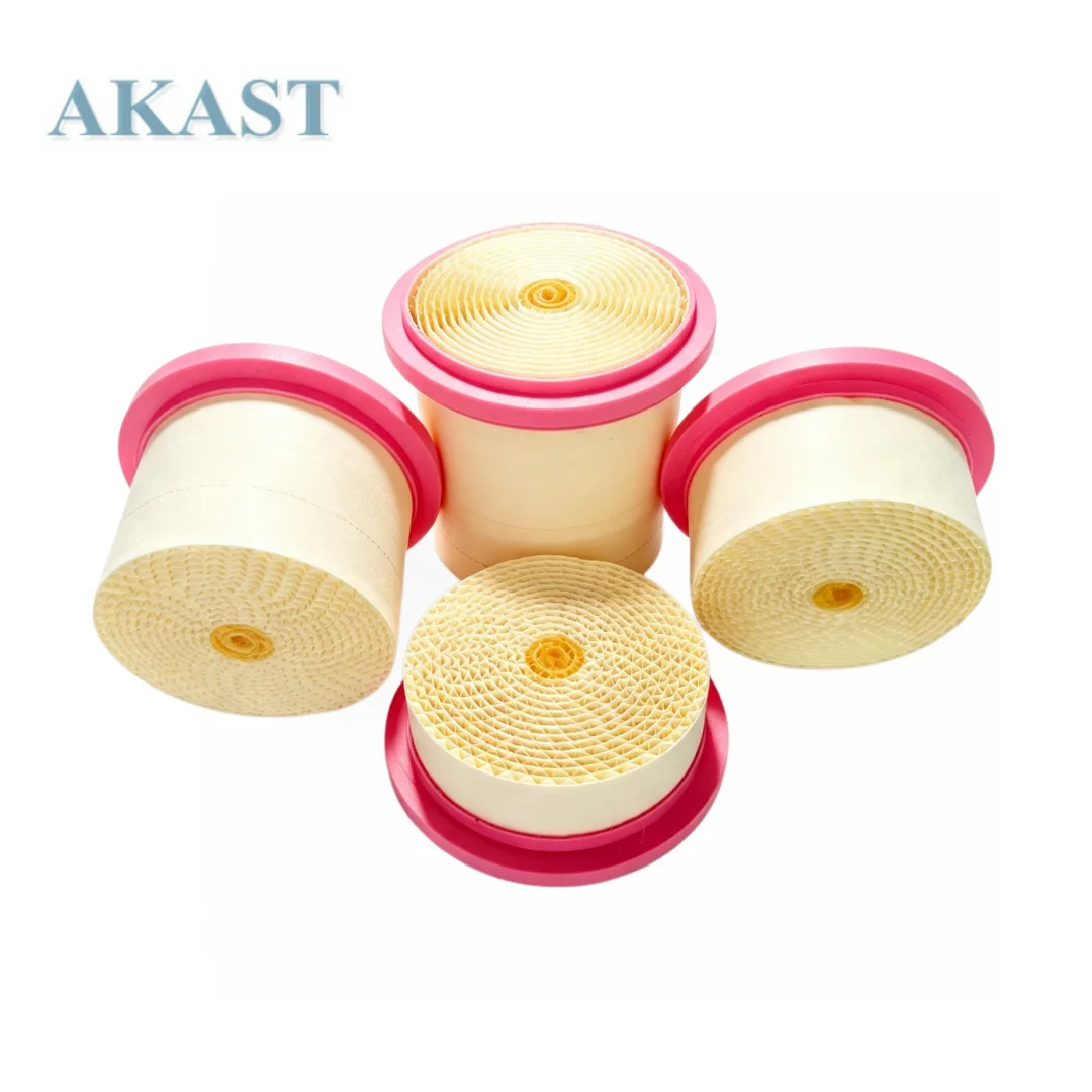 Air Filter 6.4212.0 6.4161.0 6.4432.0 6.4163.0 Air Compressor Filter Element For Kaeser