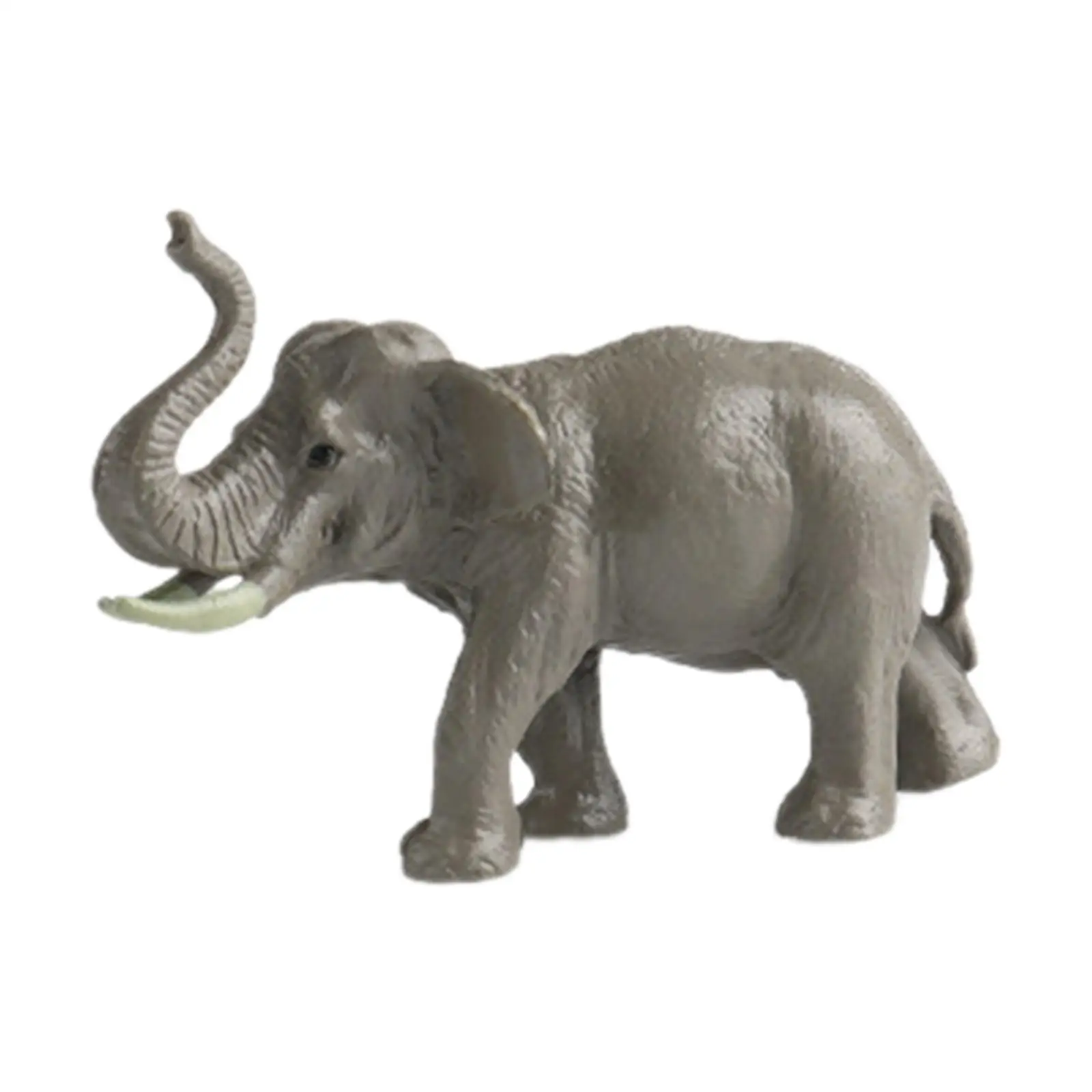 Figuras de juguetes de animales de 2x6 piezas, modelo de juego de animales, recuerdos de fiesta, regalos de cumpleaños, adorno de pastel, estatua de Animal salvaje realista