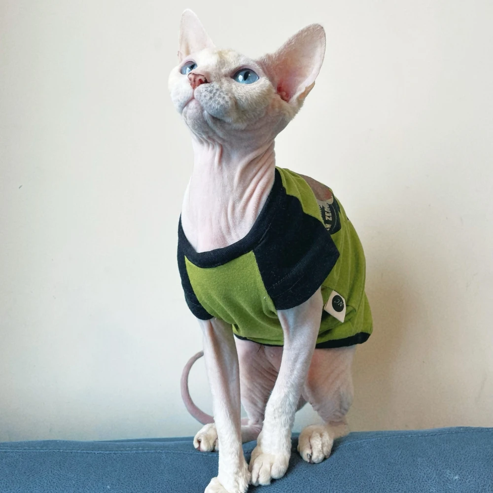 Cotton T-Shirt for Sphynx Cat Clothing Spring Summer Soft Long Sleeves Cute Fashion Vest for Male Cat Elestic Coat For Devon Rex