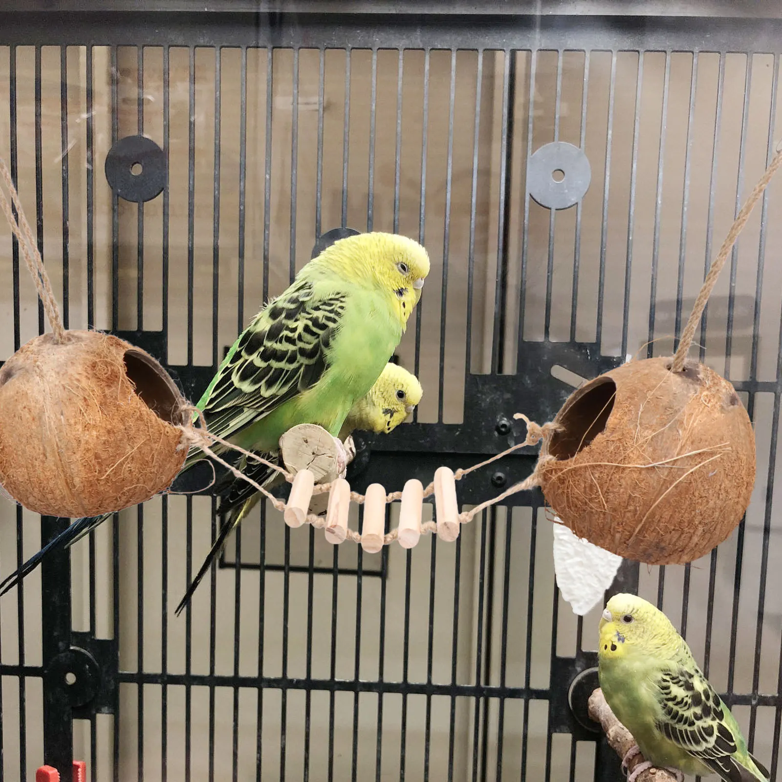 

Bird Coconut Nest with Wooden Ladder Small Pet Hideout for Hamster Parrots Small Animals Cage Hanging Coconut Shell