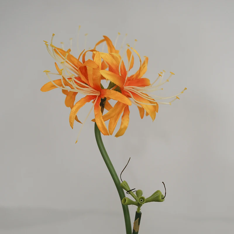 Artificial Red Spider Lily Silk Flowers with Long Stem Home Table Decor  Paramita Lycoris Radiata Mandala Manjusaka Silk Flowers - AliExpress 15