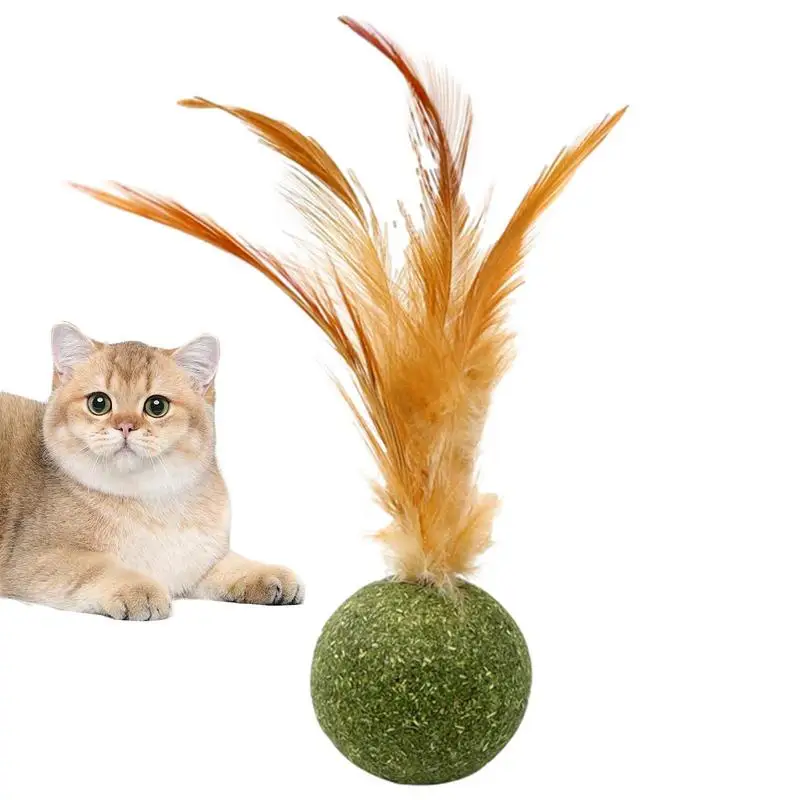 1pcs Catnip Feather Ball Interactive Natural Lollipop for Cat Kitten Toys, Feathers Design Teeth Cleaning Playing Toys