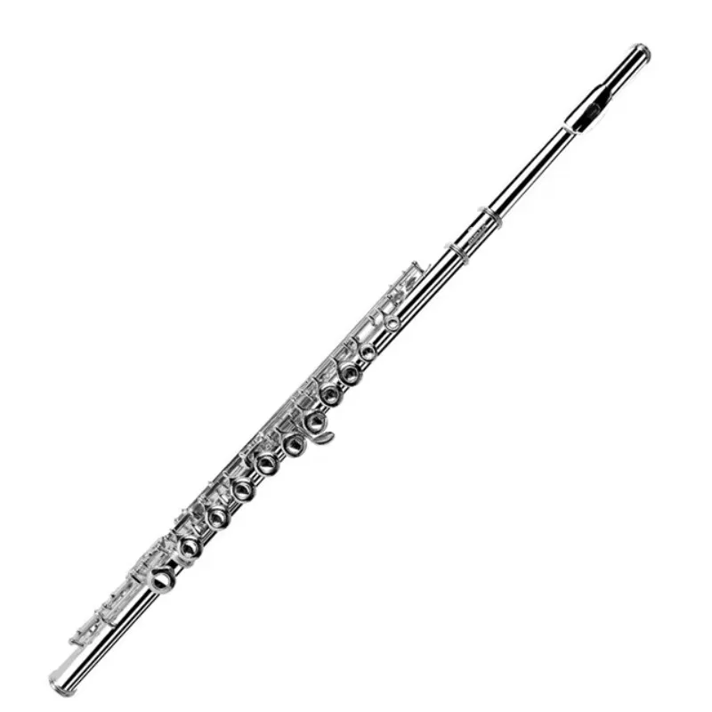 Silver Plated Flute, Woodwind Musical Instrument For Beginner Student Practice Performance