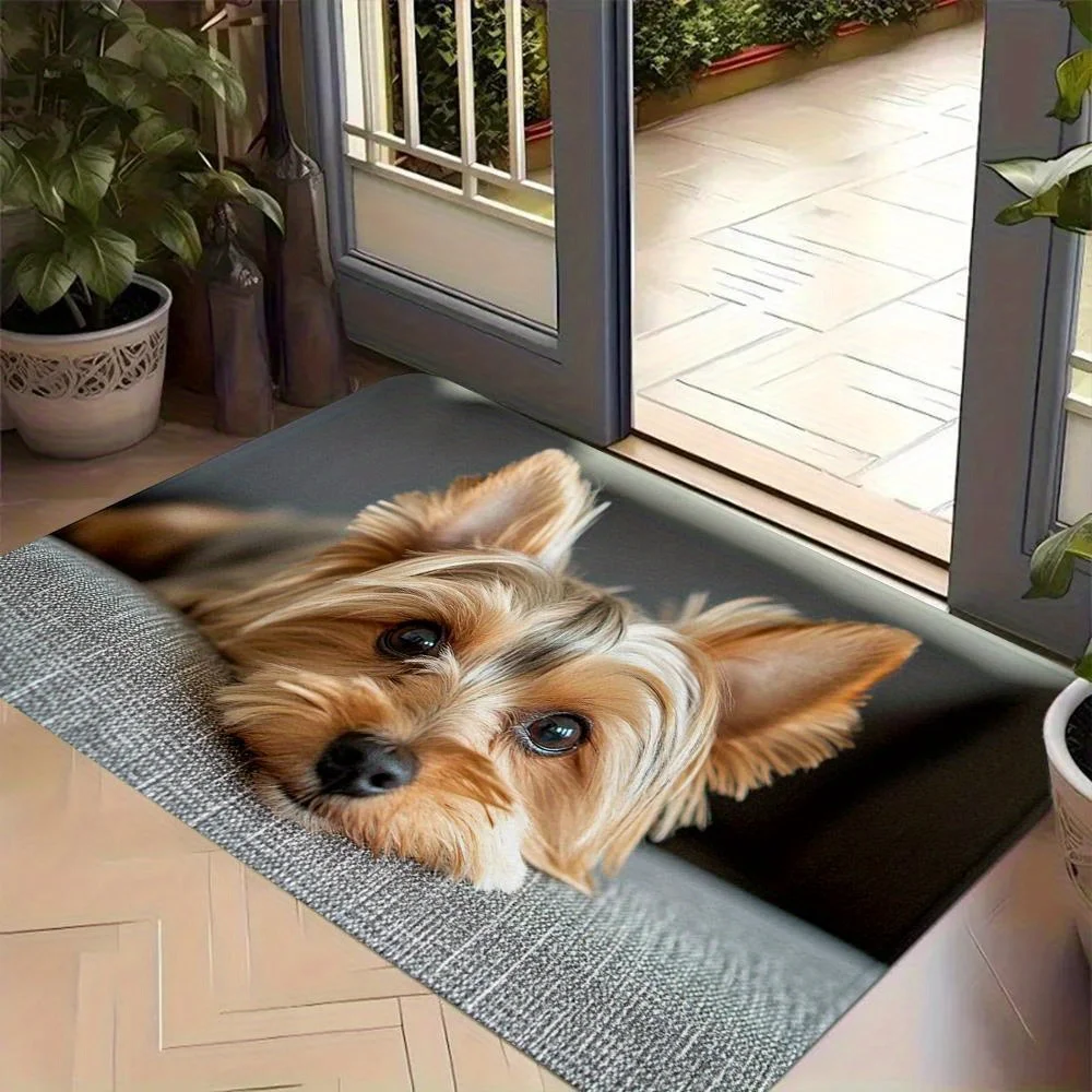 Yorkshire Terrier P…