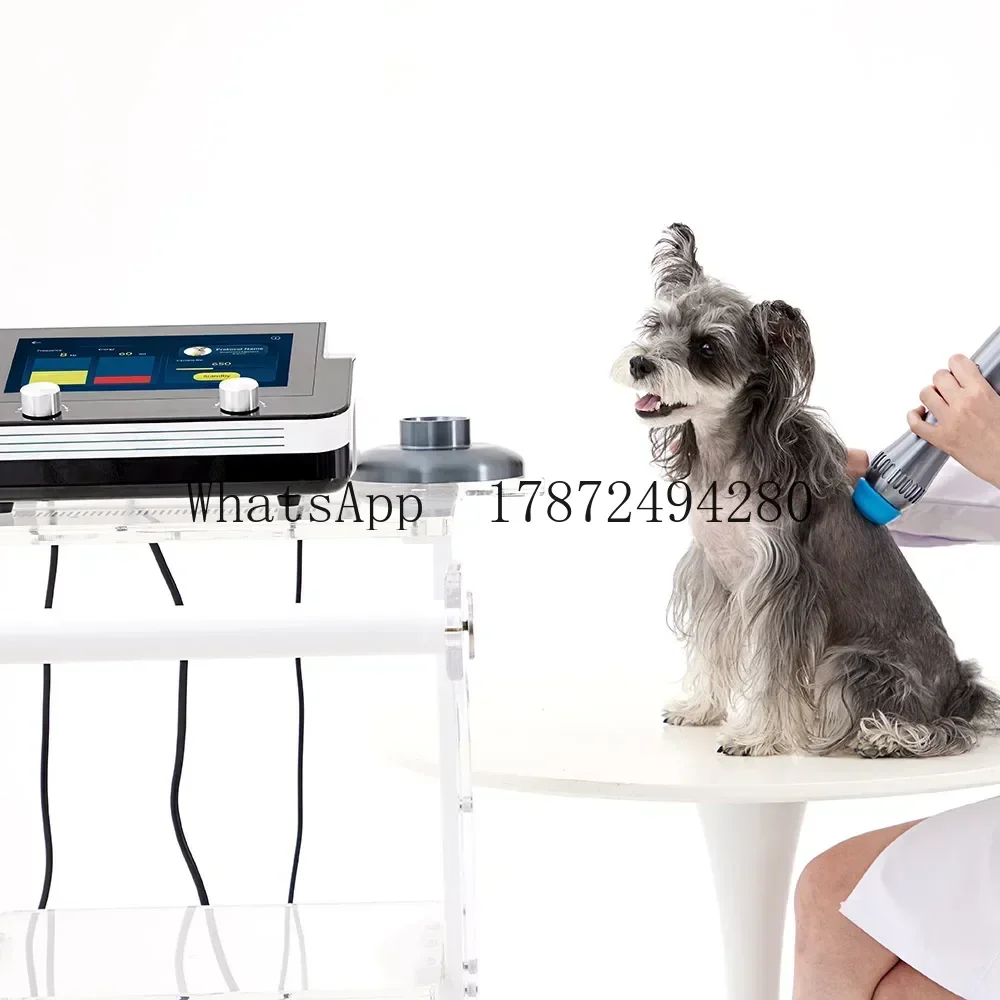 1-6bar Horse Shockwave Therapy Unit Veterinary Electromagnetic ESWT For Pain Management