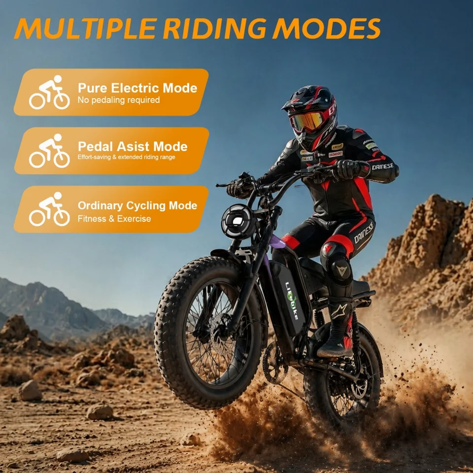 20"x4.0" Fat Tire Electric Bike Peak 1500W Motor 48V 20AH Removable Battery Full Suspension E-bike for Mountain Snow Sand Road