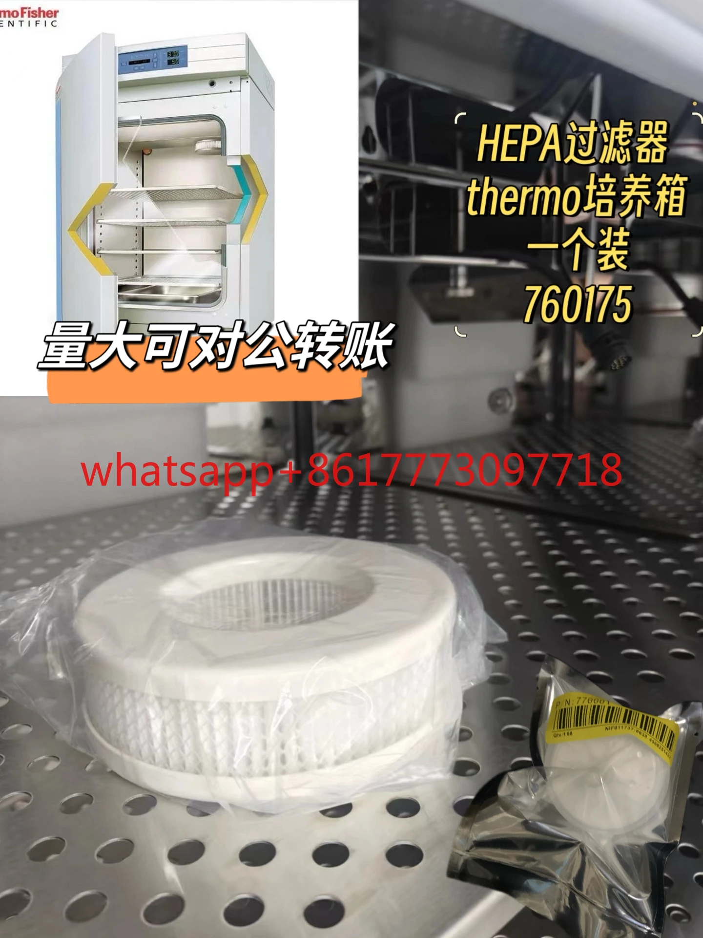 thermo-incubateur-a-filtre-hepa-co2-incubateur-likang-incubateur-co2-760175