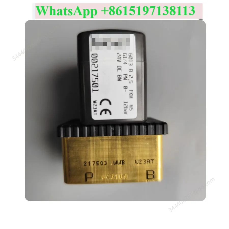Original Direct Acting Solenoid Valve 6013 B G1/4 24VDC 00217501