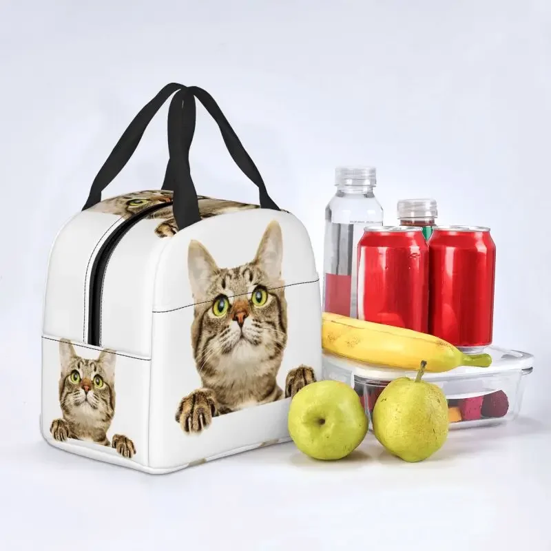 Niestandardowa torba na lunch Funny Cat Peeking Women Cooler Thermal Insulated Lunch Container Box dla dzieci Szkoła Praca Piknik Torby na żywność