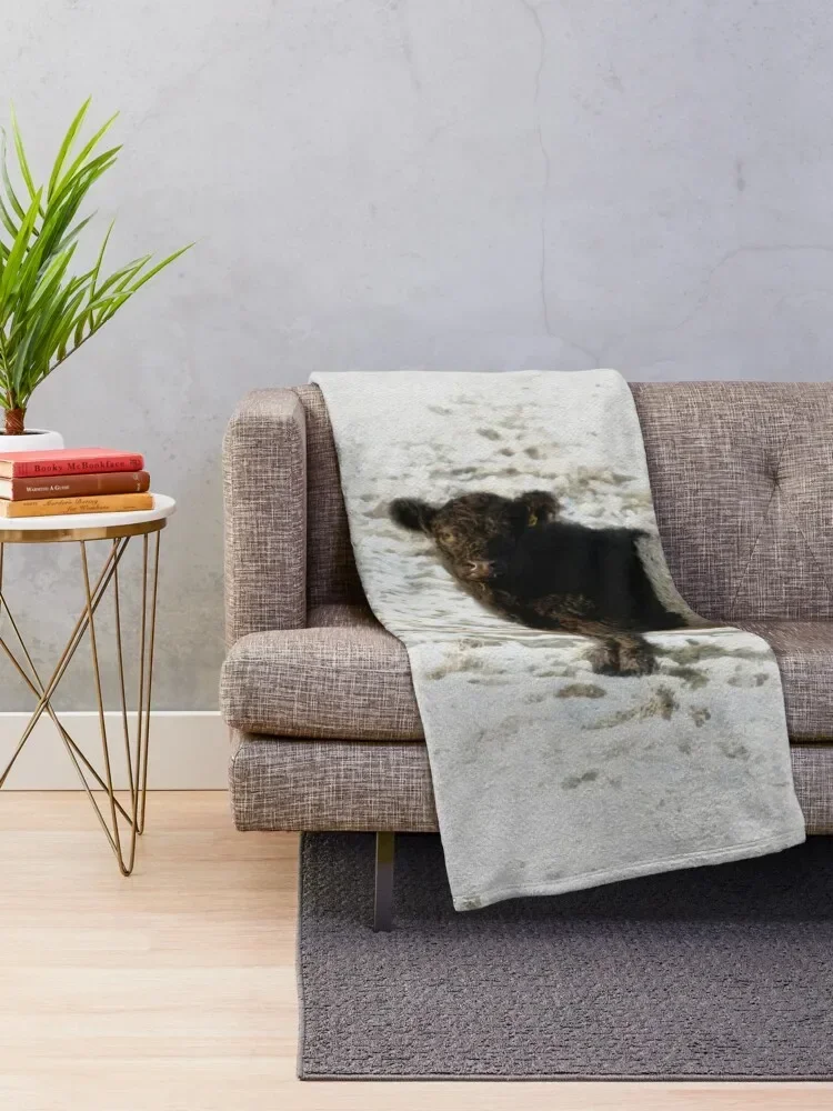 Belted Galloway Cow Watercolour Photograph. Throw Blanket Decorative Sofa Polar Hairys Shaggy Blankets