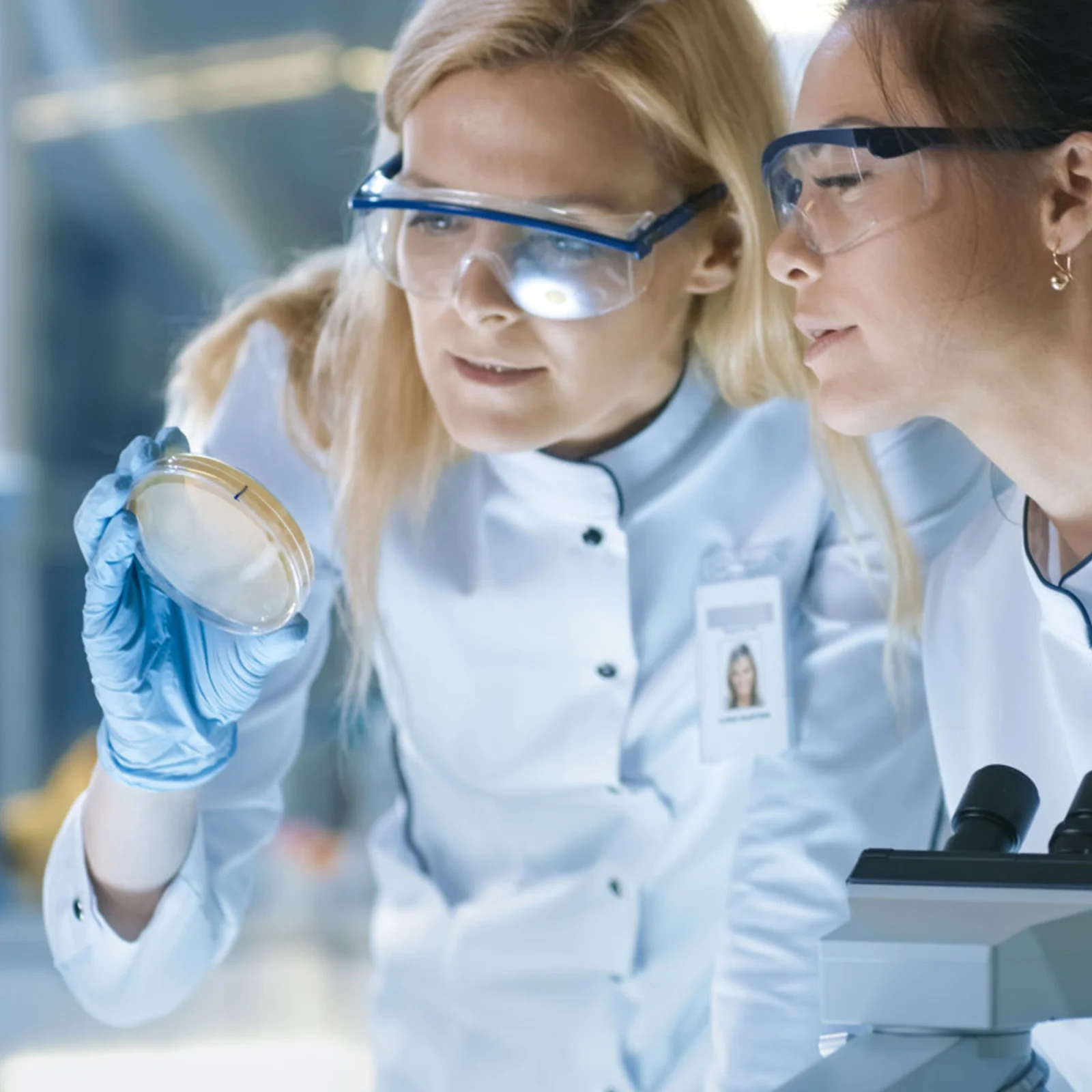 

Nutrient Agar Plate Ready to Use Petri Dishes Pre Filled Plates Poured Kit Medium Mycology Prepoured