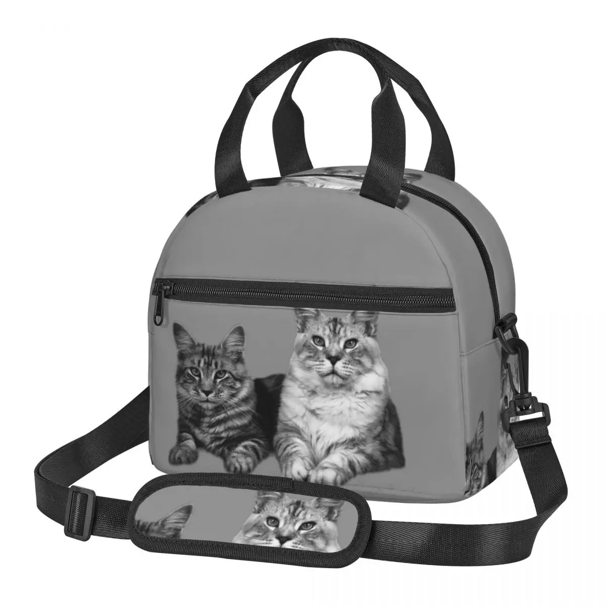 Lunchtaschen mit Maine Coon-Katze, isolierte Bento-Box, wasserdichte Lunchtasche, Picknicktaschen, Kühltasche für Reisen von Frauen