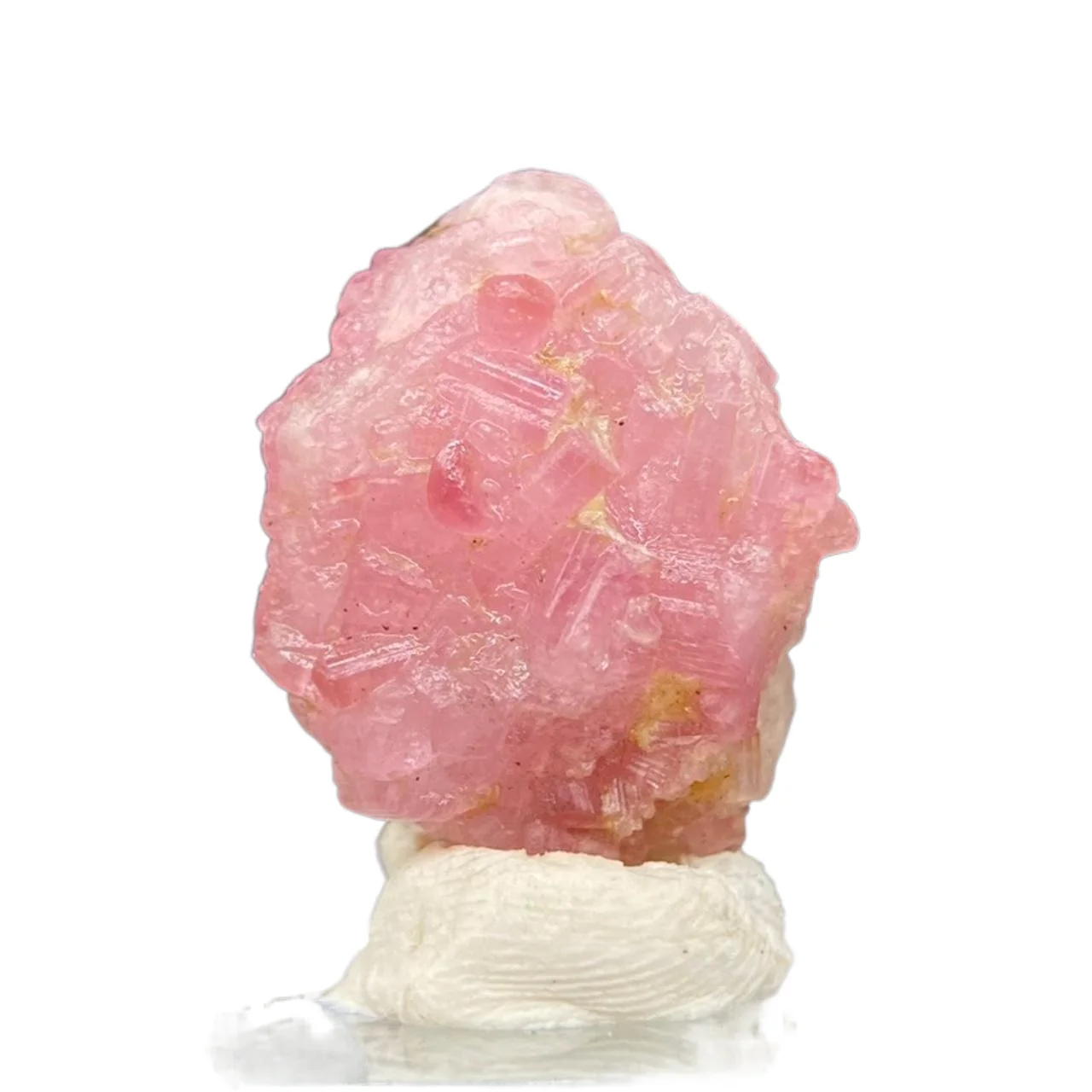 Brazilian Pink Tour… - image