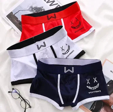 Boxers U-Convexe en Coton pour Homme, Sous-Vêtements Sexy et Confortables, 3 Pièces