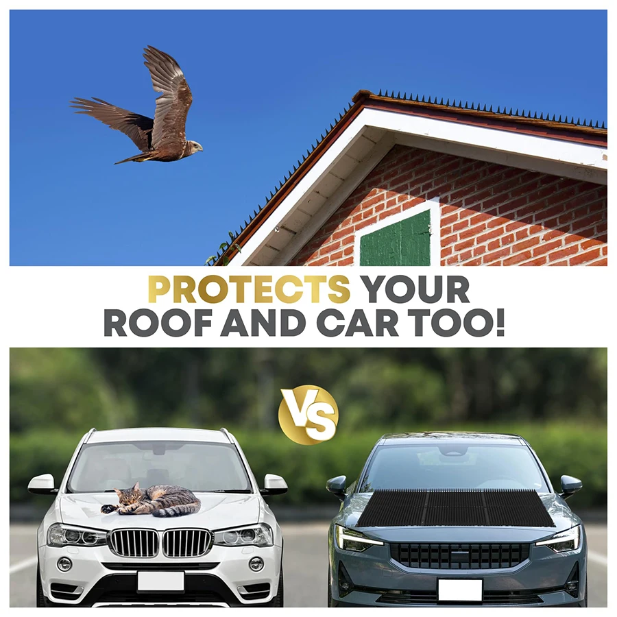 Thumbnail 3 - #62 Latest Bird Supplies Offers