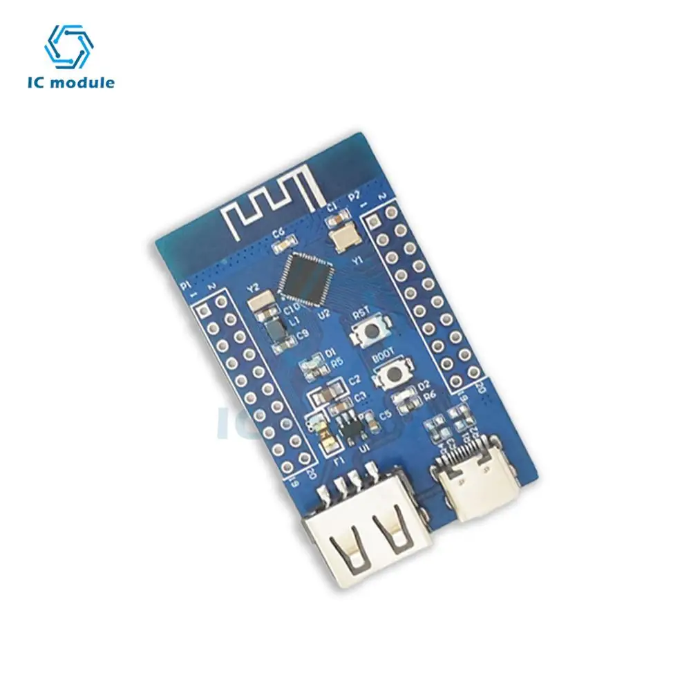 Bluetooth 5.3 RF2.4G microcontrollore Bluetooth a bassa potenza dual USB RISC-V CH582M modulo scheda di sviluppo