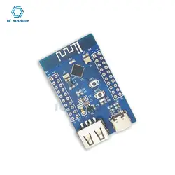 Bluetooth 5.3 RF2.4G microcontrollore Bluetooth a bassa potenza dual USB RISC-V CH582M modulo scheda di sviluppo