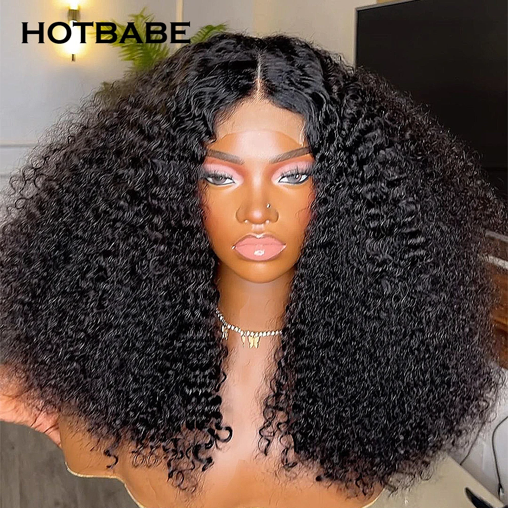 Double Drawn 13x6 HD Transparent Lace Frontal Human Hair Wigs High Density Lace Wigs Kinky Curly Preplucked Lace Front Wig