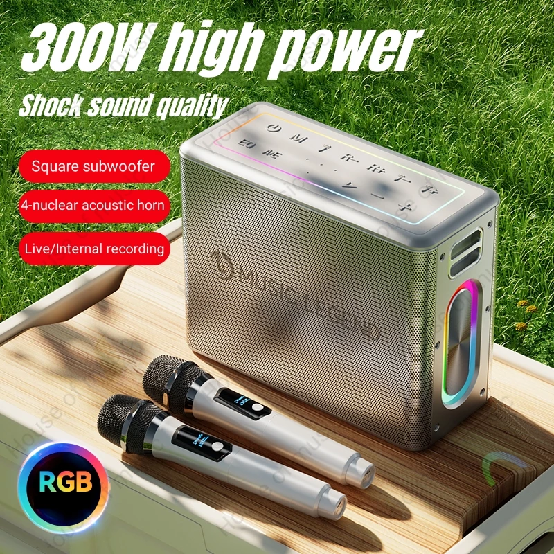 300W Peak High Power Dual Microphone Wireless Karaoke Speaker Stereo Party Portable Bluetooth Speaker with 2 Mic For KTV Outdoor