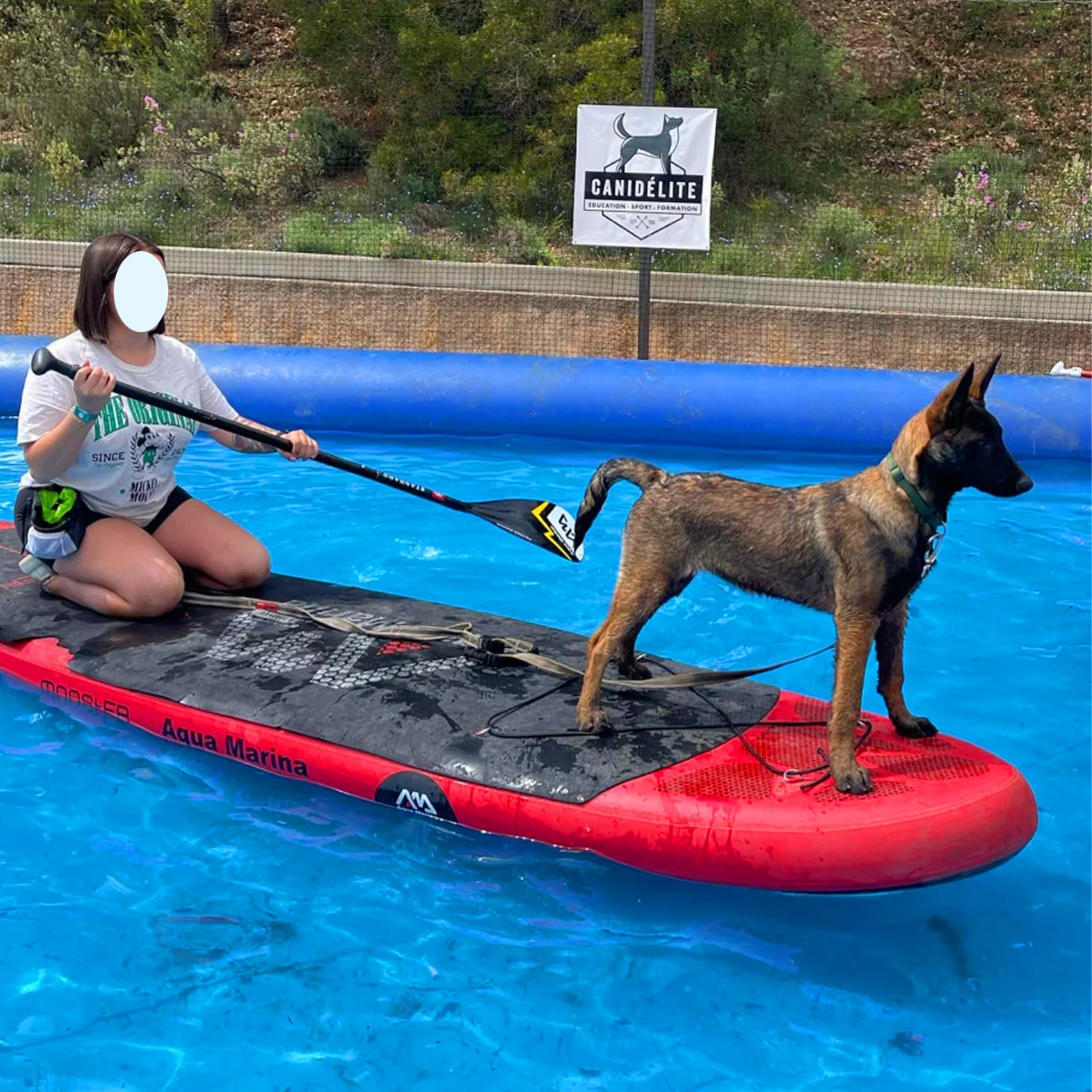 Large PVC Inflatable Dog Pool Summer Outdoor Portable Pets Float Inflatable Swimming Pool