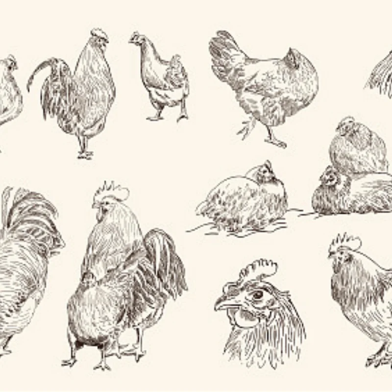 1 conjunto de aço inoxidável placa anti-colisão guarda chassi armadura para losi 1/10 baja rey v2 rc acessórios do carro