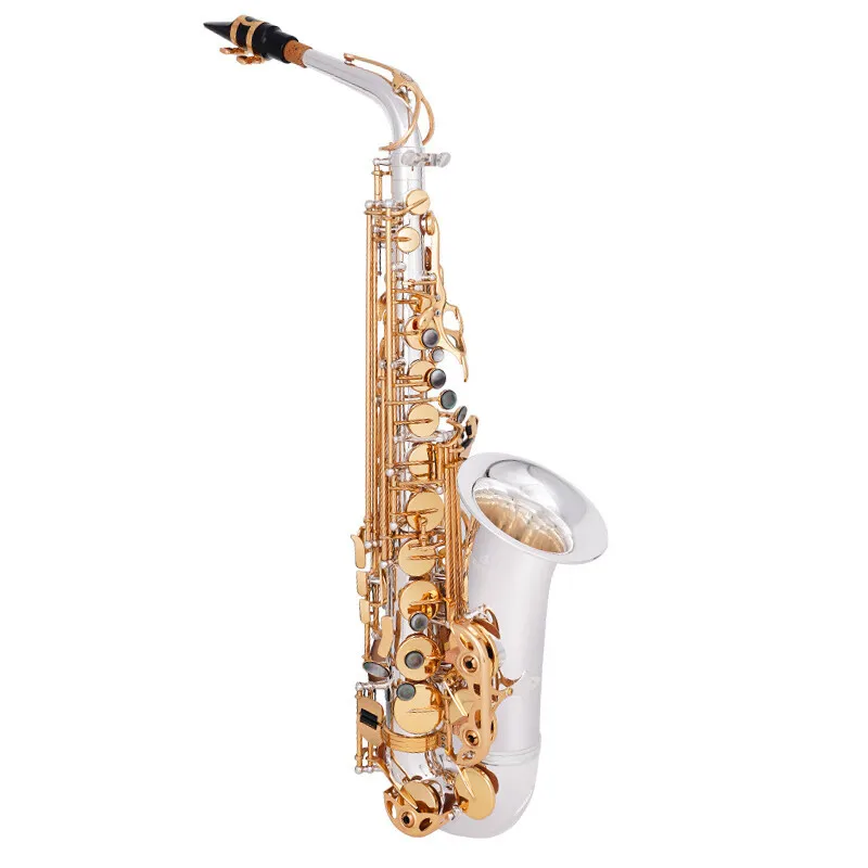 Alto Saxophone in Brass Flat B-key, Playing Saxophone Wind Instruments for Adult Beginners