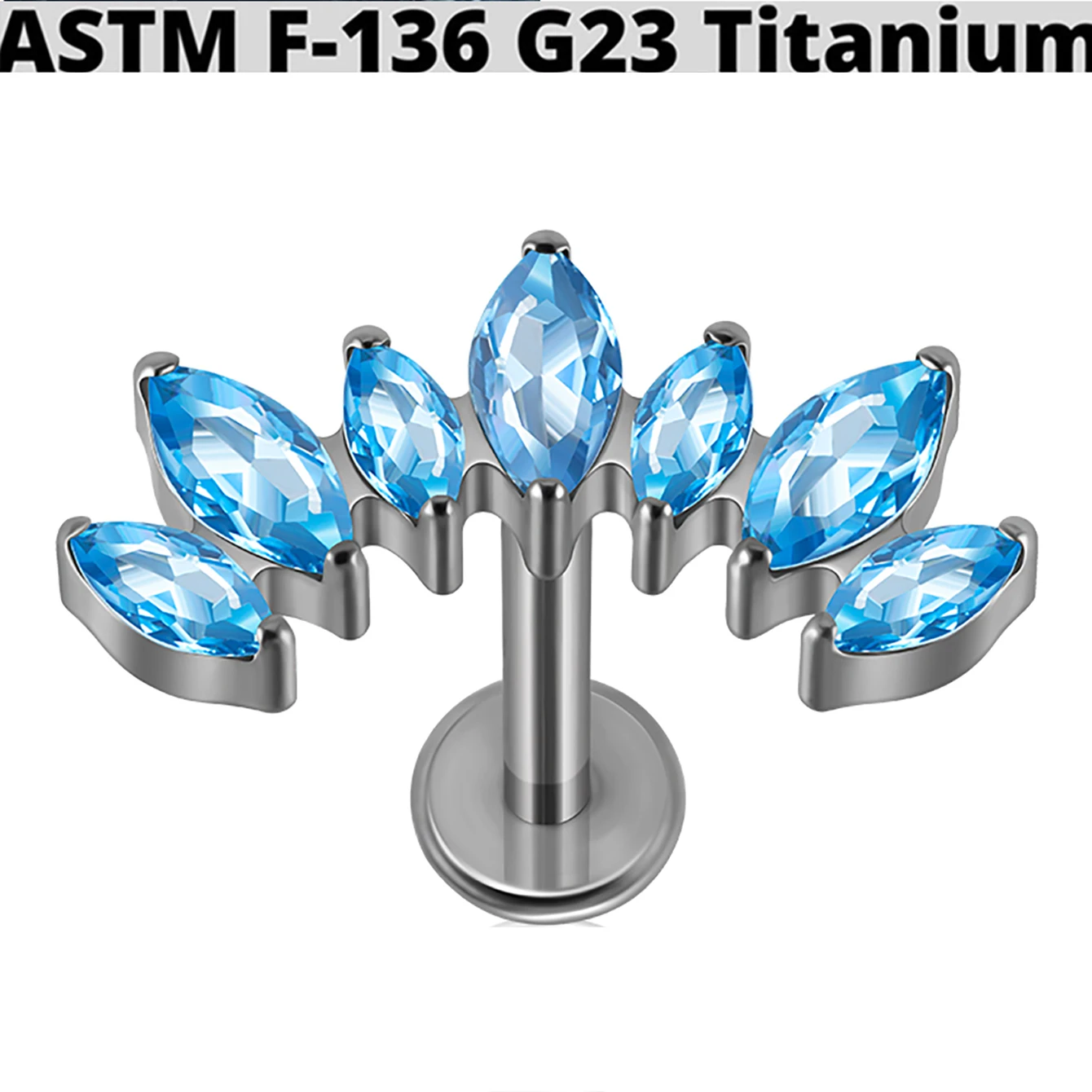 G23 Titanium Marquis Zircon Labret Lip Ring