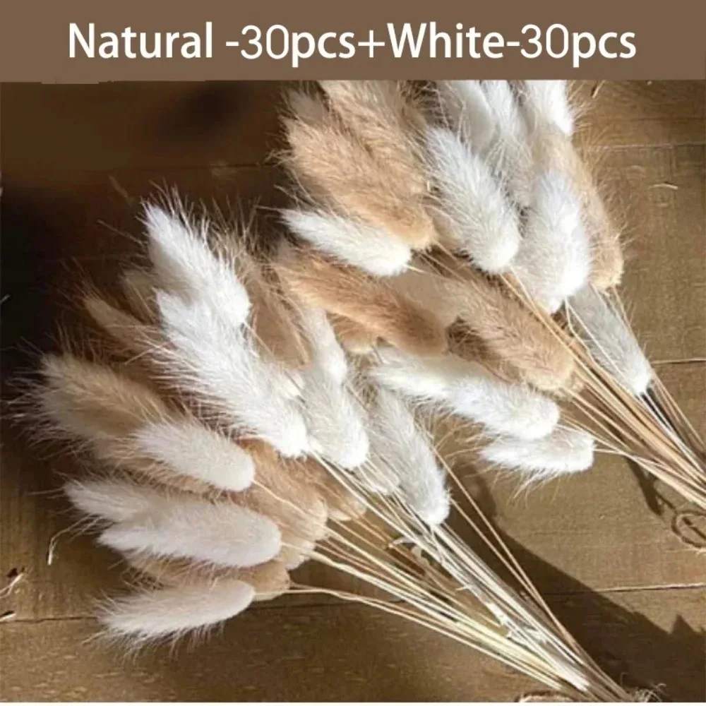 60pcs Dried Flowers Rabbit Bunny Tails Grass Mix Bouquets Wedding Party Decoration Natural Fluffy Lagurus Ovatus Boho Home Decor