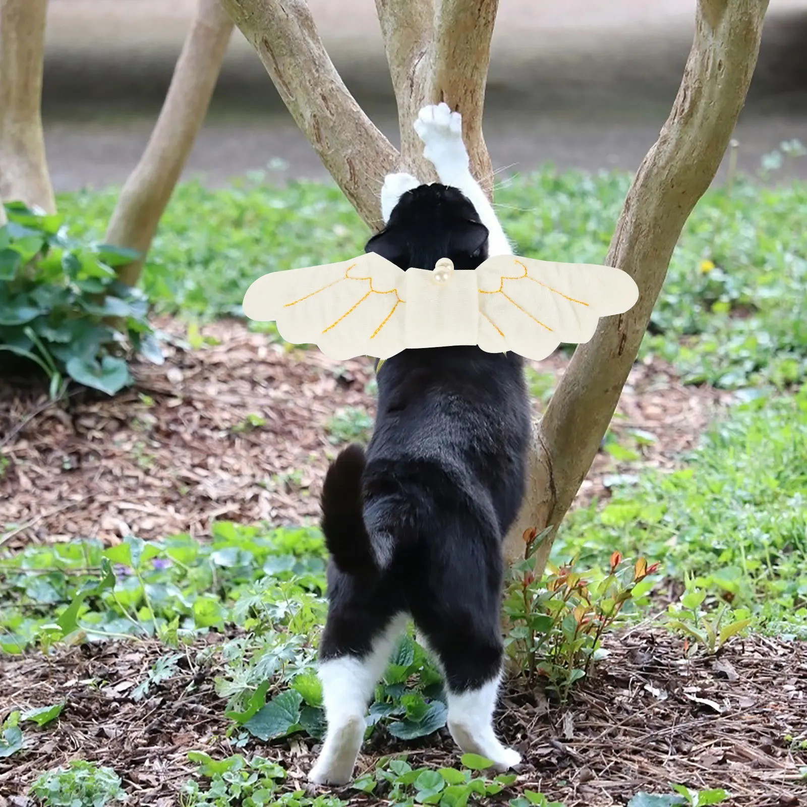 

Wings Chest Harness Lightweight Comfortable All-Day Wear Ideal for Cats Dogs Festival Costume Party Photo Shoot