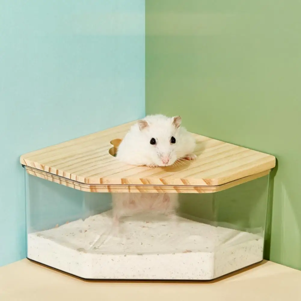 Hamster Golden Bear Sand Bath Box Acrylic Fully Transparent Large Pet Chinchilla Toilet Dual-Purpose Bath Sand Urine Sand Basin