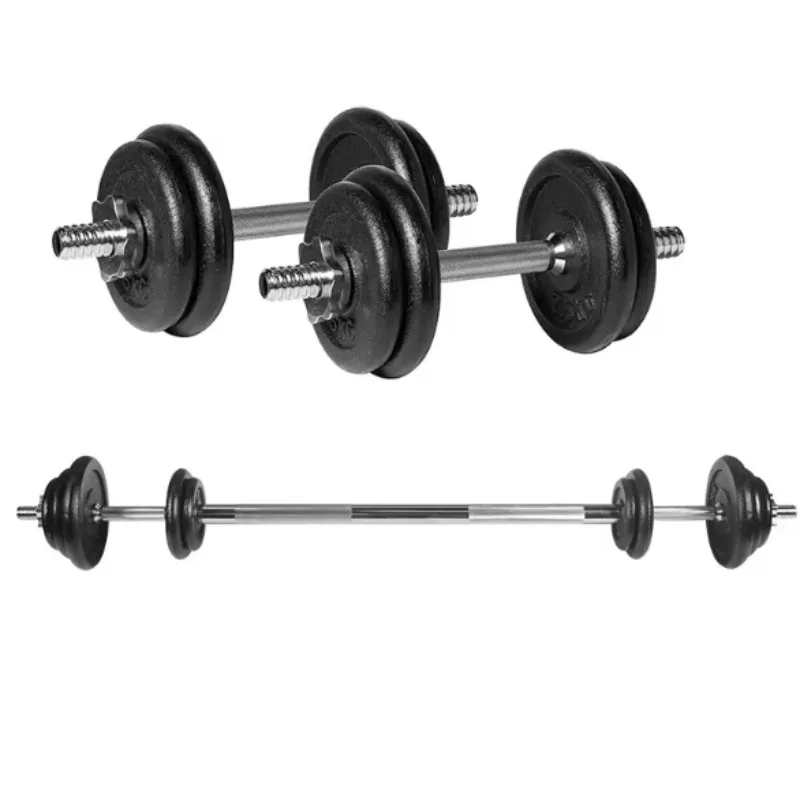 Customized Private Baked Painted Dumbbell Set Barbell Dumbbell Set