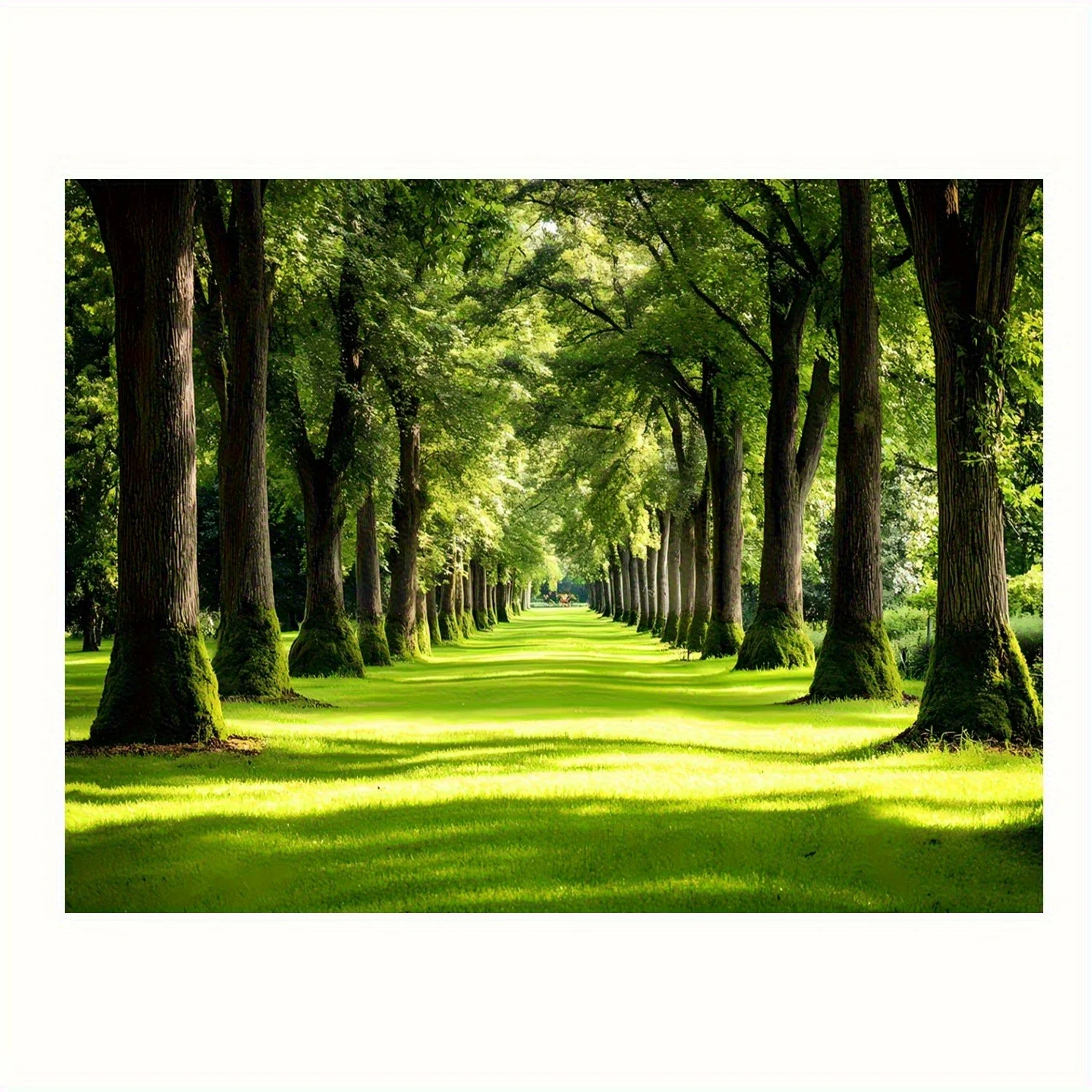 Forest Path Tapestry - Tree Lined Avenue, Sunlit Green Lawn, Nature Scenery Wall Art, Polyester, Multiple Sizes
