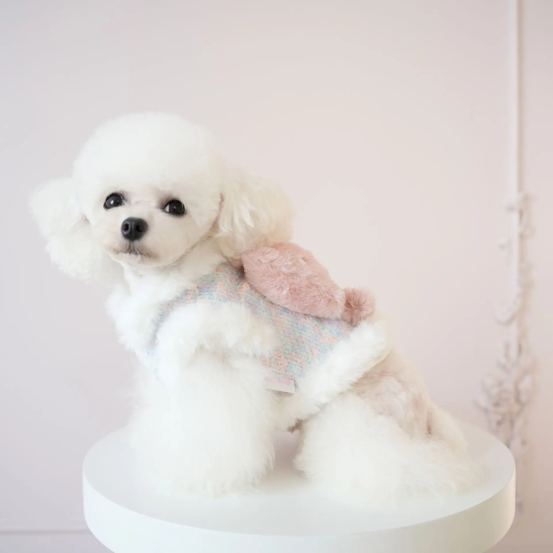 New Pet Clothing with Velvet and Thick Bow Cotton-padded Coat Coat Plush Collar Lace Dog Coat Can Lead Dog Clothes