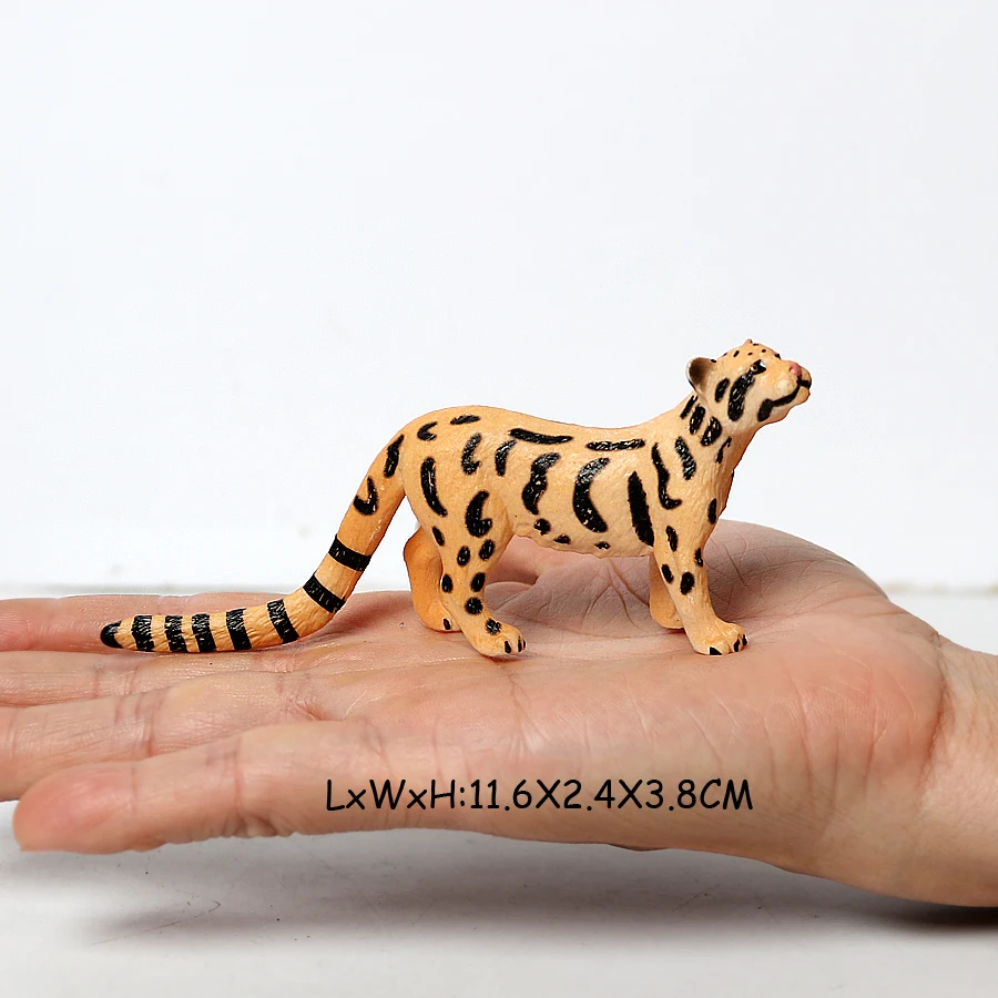 リアルな動物園の動物 ライオン、トラ、チーター、パンサーの子獣付き