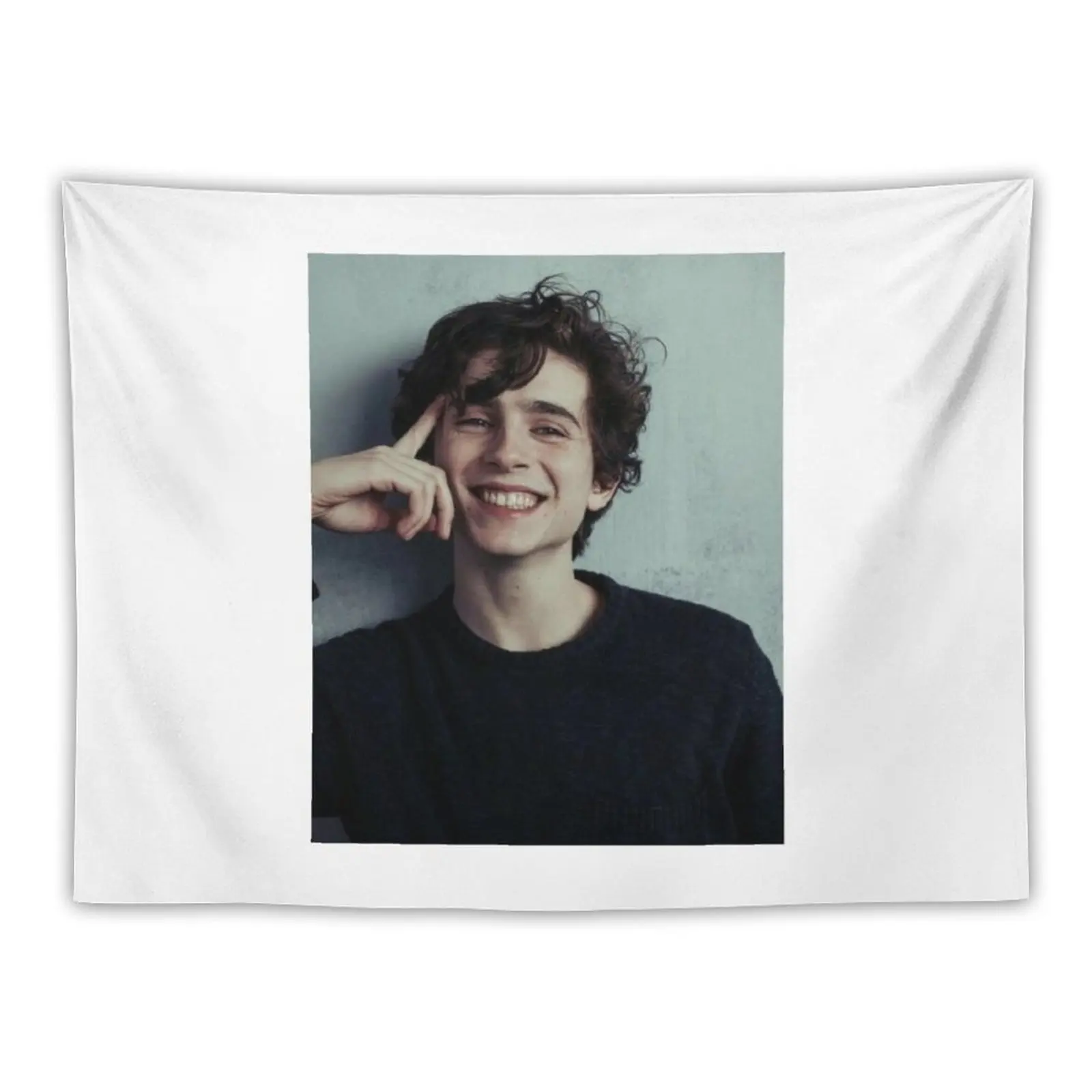 

Timothee Chalamet Tapestry Aesthetic Room Decor Korean Anime Decor Home Decorating