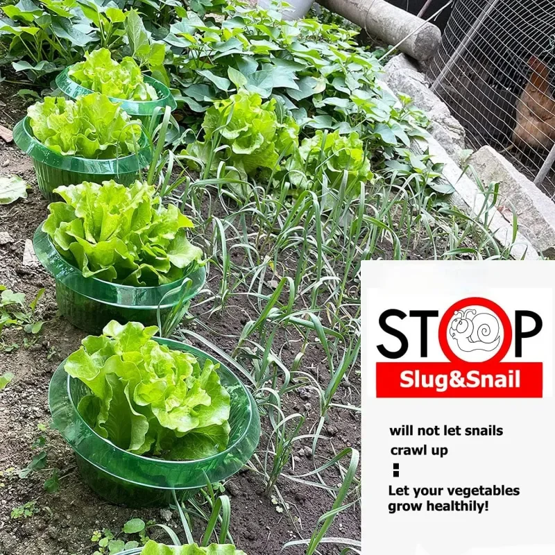 Reusable Snail Protection Cover, Plant Pest‑Proof Ring, Vegetable Seedling Protector, Universal Garden Slug Snail Guard, Plant Protection Circle, Seedling Insect Shield, Home Gardening Protection Tool