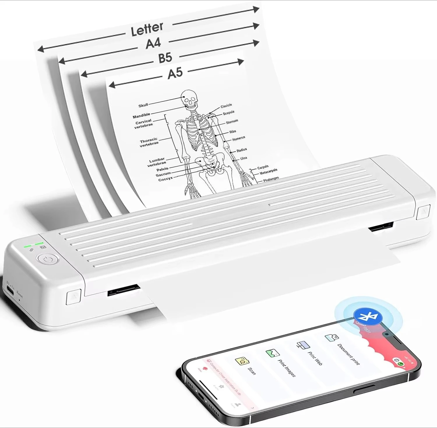 Phomemo P831 A4/LETTER Portable Printer  Printer Inkless for Normal A4 SHEETS PAPER