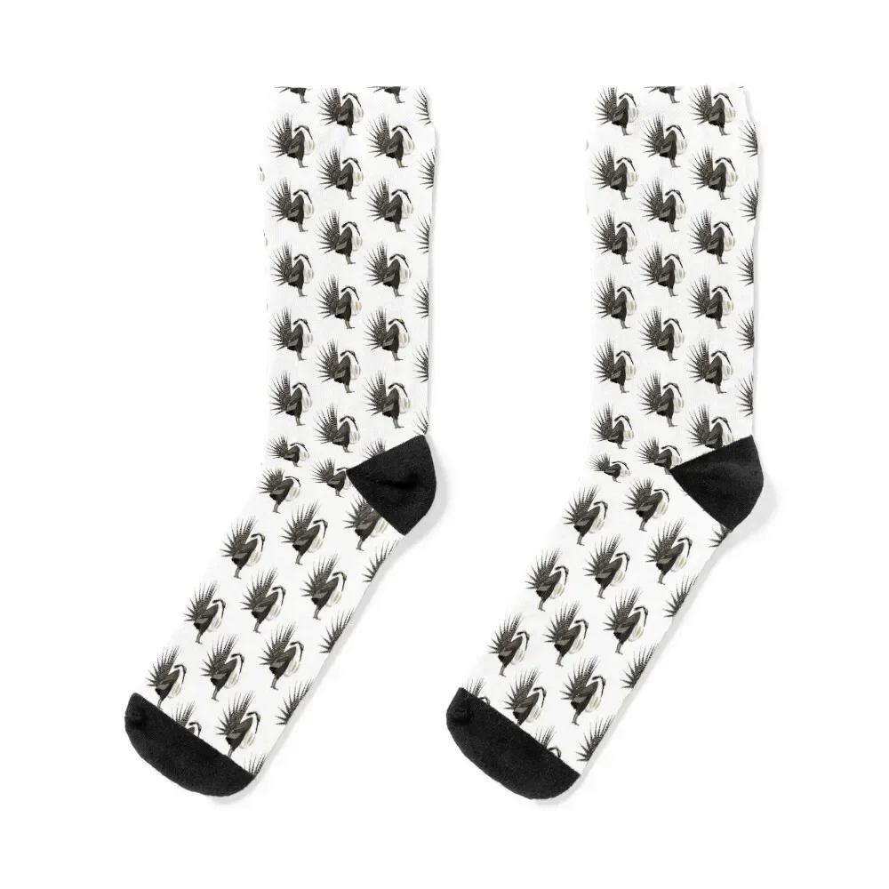 

Gunnison Sage-Grouse (support the Bird Conservancy of the Rockies) Socks Argentina moving stockings Soccer Socks Ladies Men's