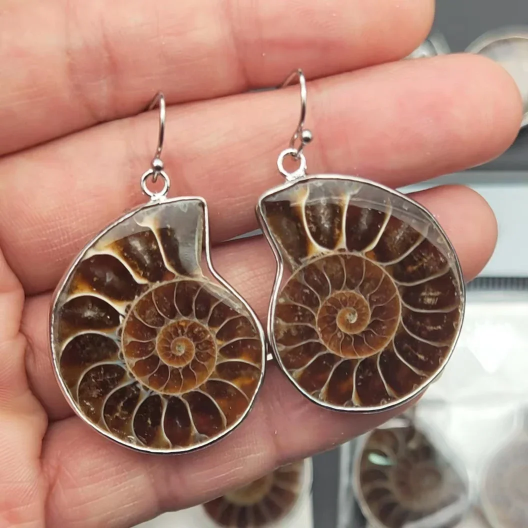 5pairs Natural Ammonite Snail Conch Shell Healing Stone Fashion Dangle Hook Earrings For Women Jewelry