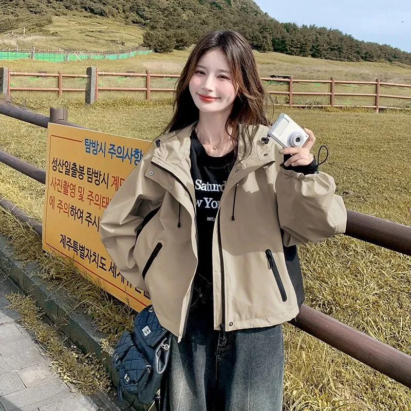 سترة نسائية قصيرة بغطاء للرأس محظورة الألوان لربيع 2025 فاخرة غير رسمية فضفاضة تناسب أنيقة صغيرة الحجم ودية